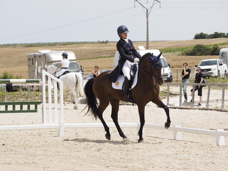 Tercera Fase del Campeonato Navarro de Doma Cl&aacute;sica y Adaptada